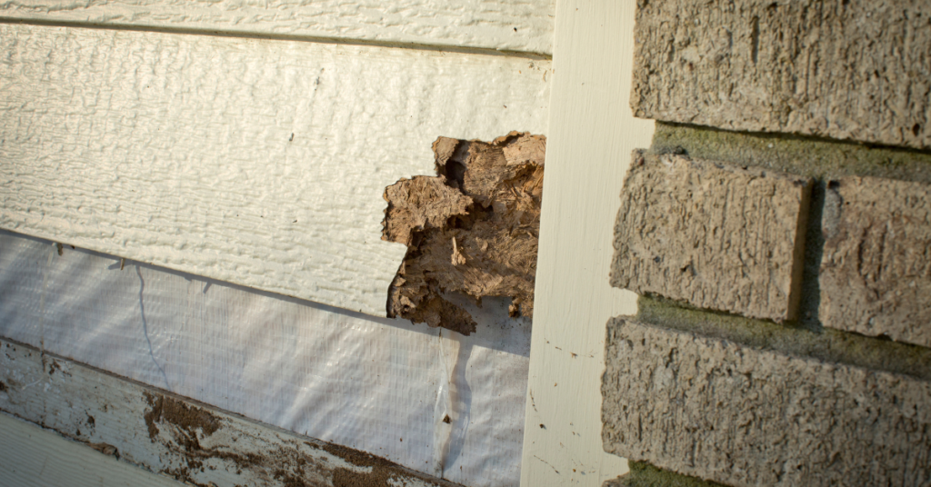 Why Timely Siding Repairs Are Crucial for Protecting Your Home from Weather Damage and Moisture Issues?